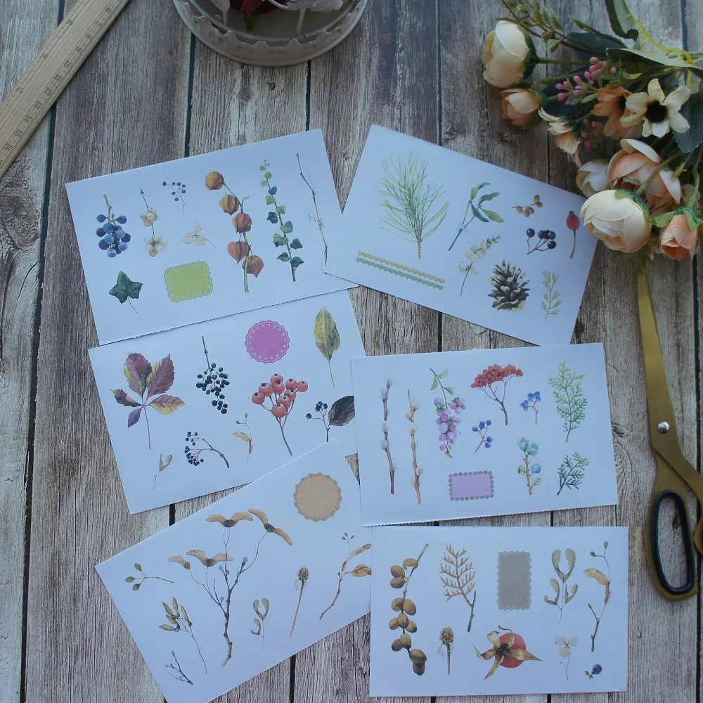 6 Sheets Fruit Specimen Design Paper Sticker As Scrapbooking DIY Gift Packing Decoration Tag
6 Sheets Fruit Specimen Design Paper Sticker As Scrapbooking DIY Gift Packing Decoration Tag