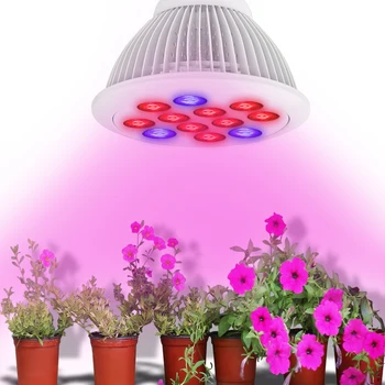 E27 12W LED Grow Light Bulb 12 LEDs Hydroponic Plant Growing Lights Red & Blue for Garden Greenhouse Grow Led Grow Tent Lamp
E27 12W LED Grow Light Bulb 12 LEDs Hydroponic Plant Growing Lights Red & Blue for Garden Greenhouse Grow Led Grow Tent Lamp