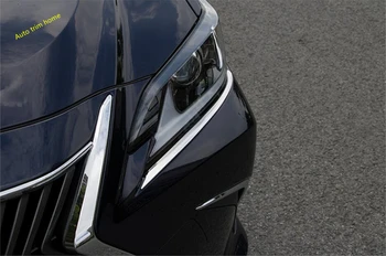 Lapetus Front Head Lights Lamps Eyelid Eyebrow Strip Cover Trim Fit For Lexus ES 2018 2019 2020 Stainless Steel Auto Accessories
Lapetus Front Head Lights Lamps Eyelid Eyebrow Strip Cover Trim Fit For Lexus ES 2018 2019 2020 Stainless Steel Auto Accessories