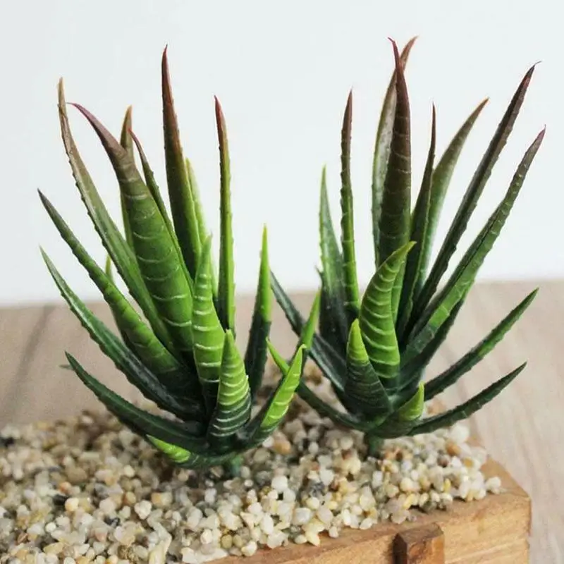 Green Aloe Plant Wall DIY Accessories Supplies Simulation Plant Artificial Succulents Craft Floristry Home Decoration Accessori
Green Aloe Plant Wall DIY Accessories Supplies Simulation Plant Artificial Succulents Craft Floristry Home Decoration Accessori