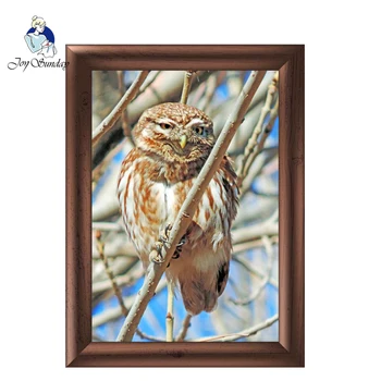 JOY SUNDAY Needlework,DIY DMC Cross stitch,11CT,14CT Sets For Embroidery kits,Orange owl threads Counted Cross-Stitching
JOY SUNDAY Needlework,DIY DMC Cross stitch,11CT,14CT Sets For Embroidery kits,Orange owl threads Counted Cross-Stitching