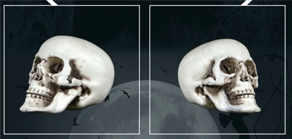 Scary Skeleton Heads Figure Halloween party supply gifts - 8. Mini Skeleton 2
