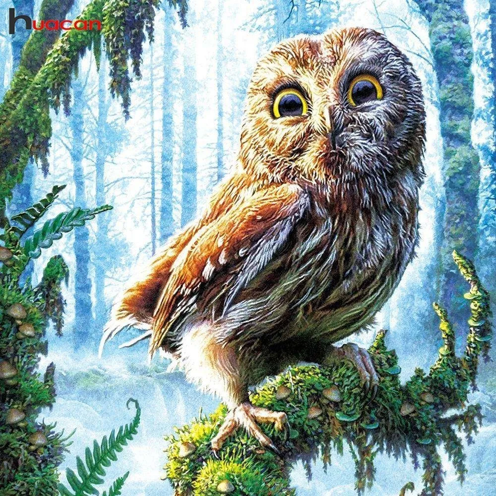 Huacan Diamond Embroidery Animals Full Square Diamond Painting Owl Paintings From Crystals Rhinestones Mosaic Garden Decoration
Huacan Diamond Embroidery Animals Full Square Diamond Painting Owl Paintings From Crystals Rhinestones Mosaic Garden Decoration