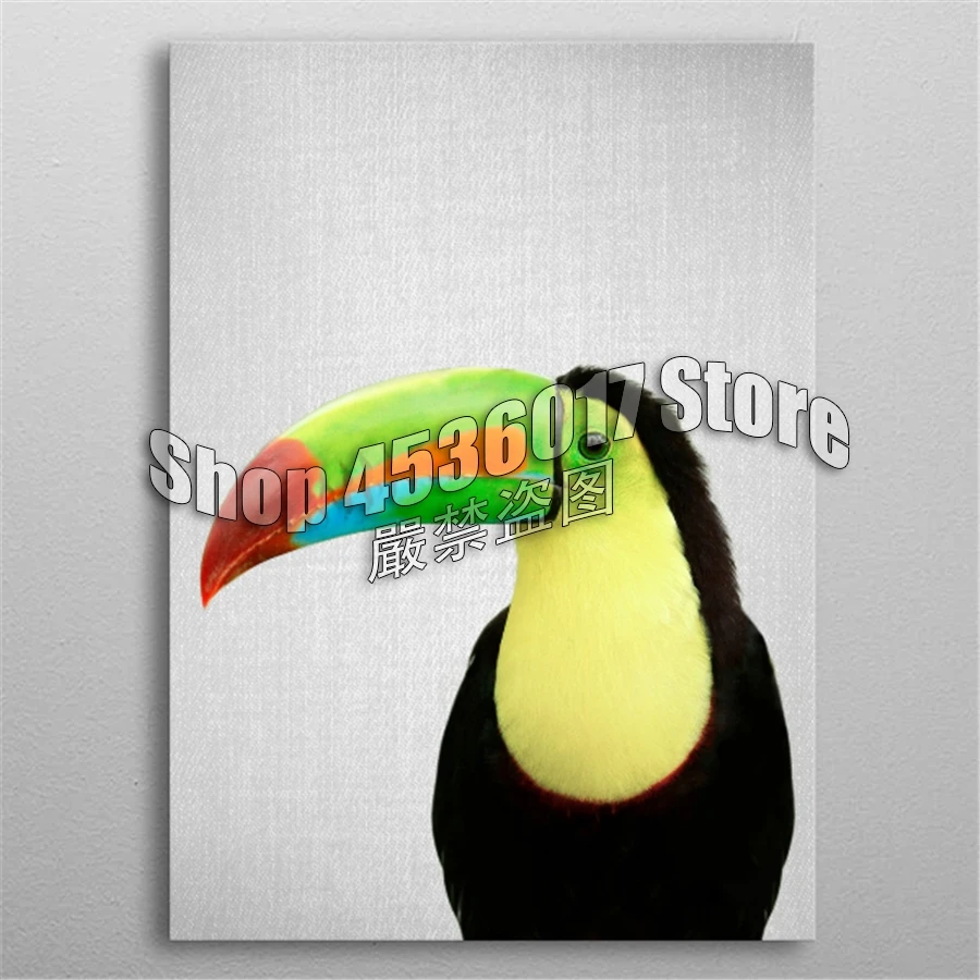 Animals 5d Diy Diamond Painting Cross Stitch Toucan Embroidery Kits Diamond Mosaic Hobbies Full Rhinestone Gifts Arts & Crafts
Animals 5d Diy Diamond Painting Cross Stitch Toucan Embroidery Kits Diamond Mosaic Hobbies Full Rhinestone Gifts Arts & Crafts