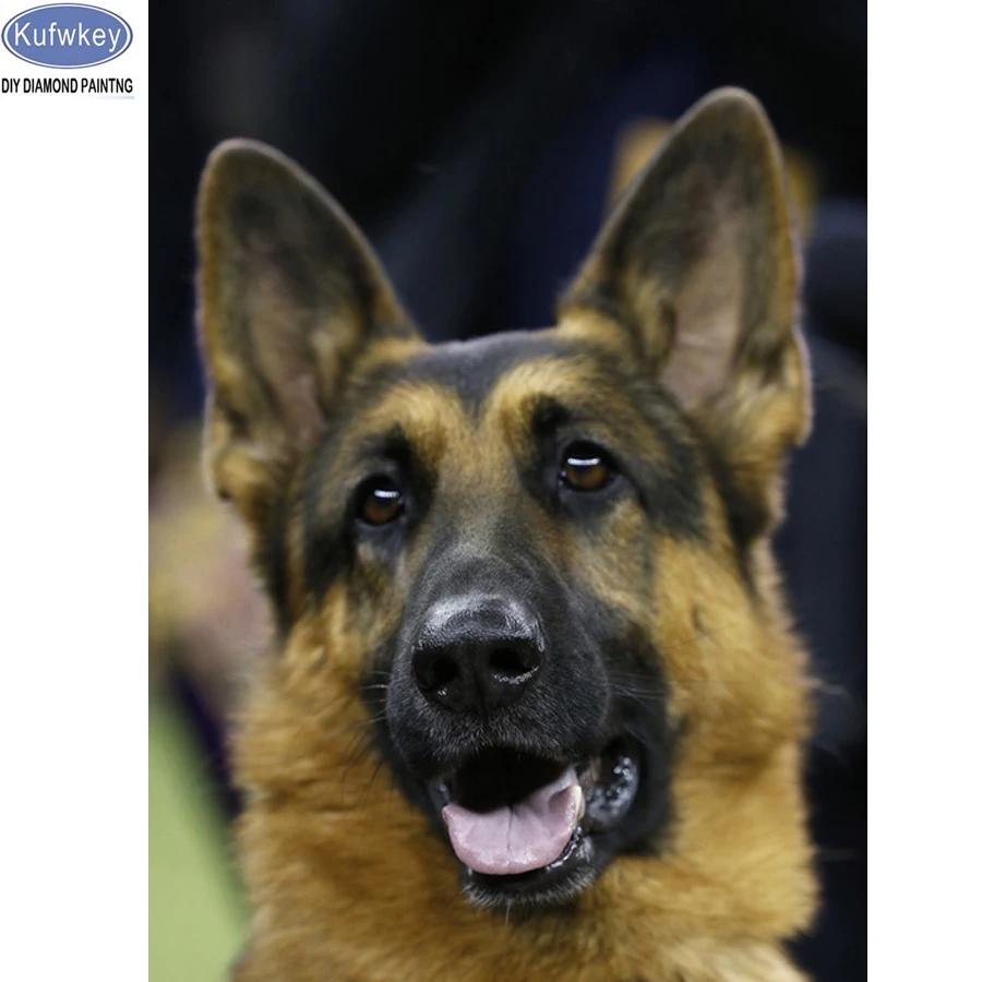 German shepherd dog Pattern Diamond Embroidery 5d DIY Needlework dog Diamond Painting Cross Stitch 5D Rhinestones Painting
German shepherd dog Pattern Diamond Embroidery 5d DIY Needlework dog Diamond Painting Cross Stitch 5D Rhinestones Painting