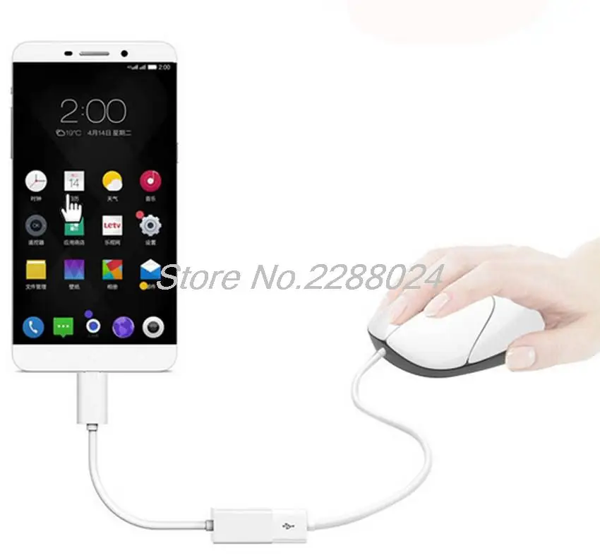 font b Type C b font USB 3 1 To USB 3 0 OTG Adapter