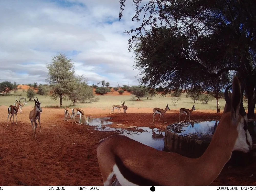 4G Hunting camera (6)