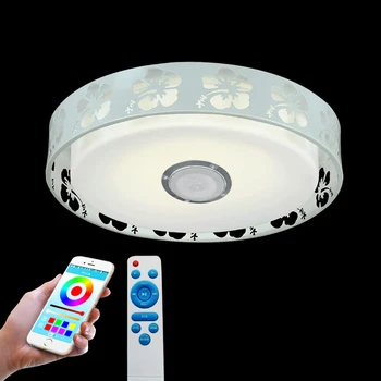 Modern LED Ceiling Light RGB Dimmable 36W APP Remote Bluetooth Music Light Living Room Baby Bedroom Ceiling Light AC85-265V
Modern LED Ceiling Light RGB Dimmable 36W APP Remote Bluetooth Music Light Living Room Baby Bedroom Ceiling Light AC85-265V