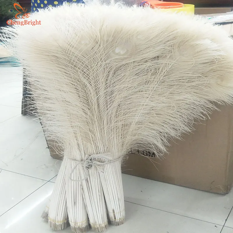 ChengBright Wholesale 500pcs Beige Natural Peacock Feathers 70-80cm/28-32ingh Decorative Plume Peacock Feathers Eye Diy Wedding
ChengBright Wholesale 500pcs Beige Natural Peacock Feathers 70-80cm/28-32ingh Decorative Plume Peacock Feathers Eye Diy Wedding