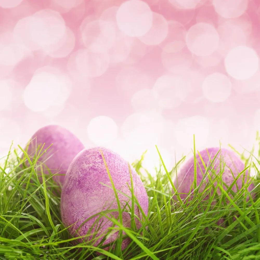 10X10FT Easter theme Vinyl Photography Backdrop Prop Photo Studio Backgrounds FH-304