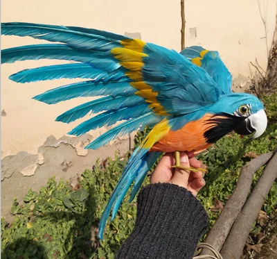 foam&colourful feathers artificial parrot bird large 30x45cm spreading wings parrot handicraft,garden decoration prop gift a2573
foam&colourful feathers artificial parrot bird large 30x45cm spreading wings parrot handicraft,garden decoration prop gift a2573