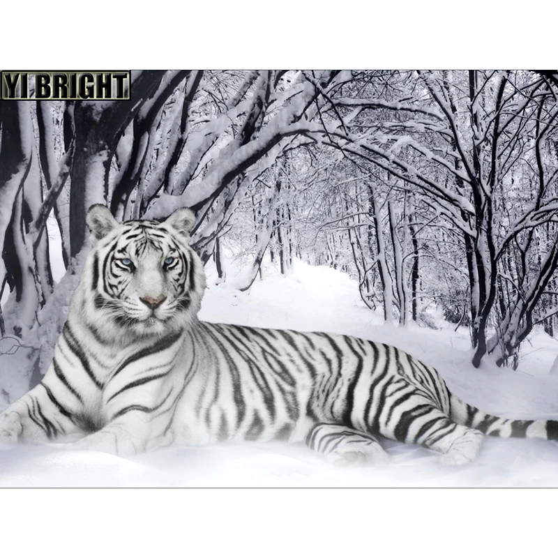 New Full Diamond 5D DIY Diamond Painting "White Tiger In Snow" Diamond Embroidery Cross Stitch Rhinestone Mosaic Painting GT
New Full Diamond 5D DIY Diamond Painting "White Tiger In Snow" Diamond Embroidery Cross Stitch Rhinestone Mosaic Painting GT