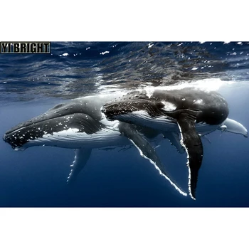 Diamond Painting Cross Stitch Kits Diamond Embroidery "Beautiful Blue Whale" 5D Diy Full Diamond Mosaic Home Decoration GT
Diamond Painting Cross Stitch Kits Diamond Embroidery "Beautiful Blue Whale" 5D Diy Full Diamond Mosaic Home Decoration GT