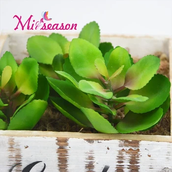 Artificial fleshiness plant Succulent Green Apple Leaf microlandschaft decorative flower home Balcony decoration False Leaves