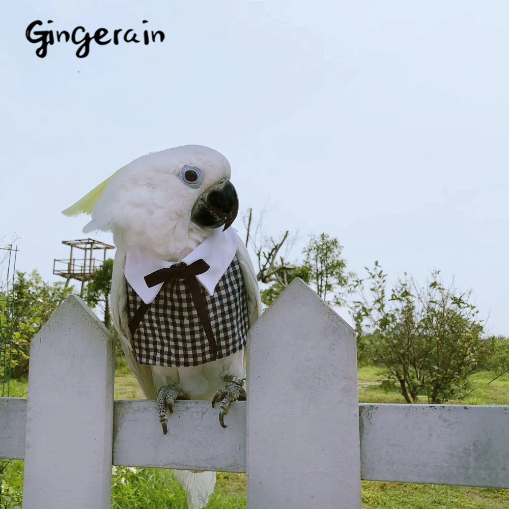 Gingerain одежда с птицами попугай Lan оригинальный ручной работы на заказ капюшоном