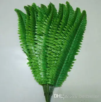 Artificial silk Plants leaf Simulation Persian Grass Leaf Artificial green plant leaf artifical flower DIY wedding home decor
Artificial silk Plants leaf Simulation Persian Grass Leaf Artificial green plant leaf artifical flower DIY wedding home decor