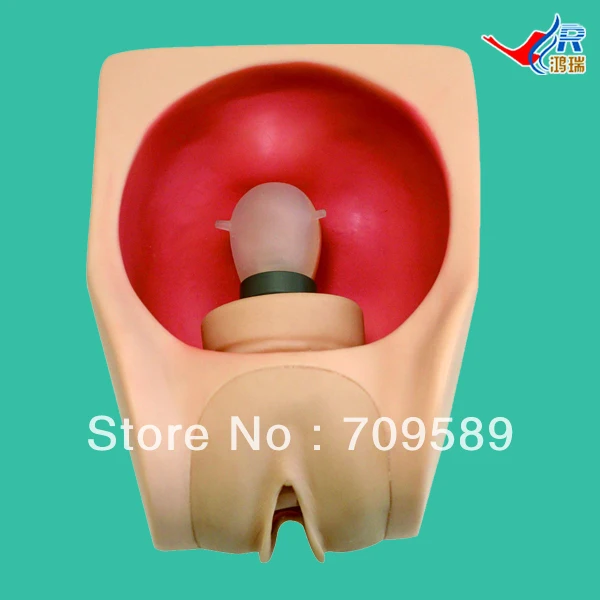ISO IUD Training Simulator, Intrauterine contraceptive device training model, IUD model
ISO IUD Training Simulator, Intrauterine contraceptive device training model, IUD model
