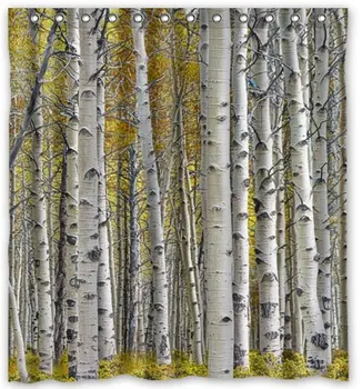 Custom Silver Birch in Four Seasons Spring Summer Autumn Winter Waterproof Fabric Polyester Shower Curtain
Custom Silver Birch in Four Seasons Spring Summer Autumn Winter Waterproof Fabric Polyester Shower Curtain