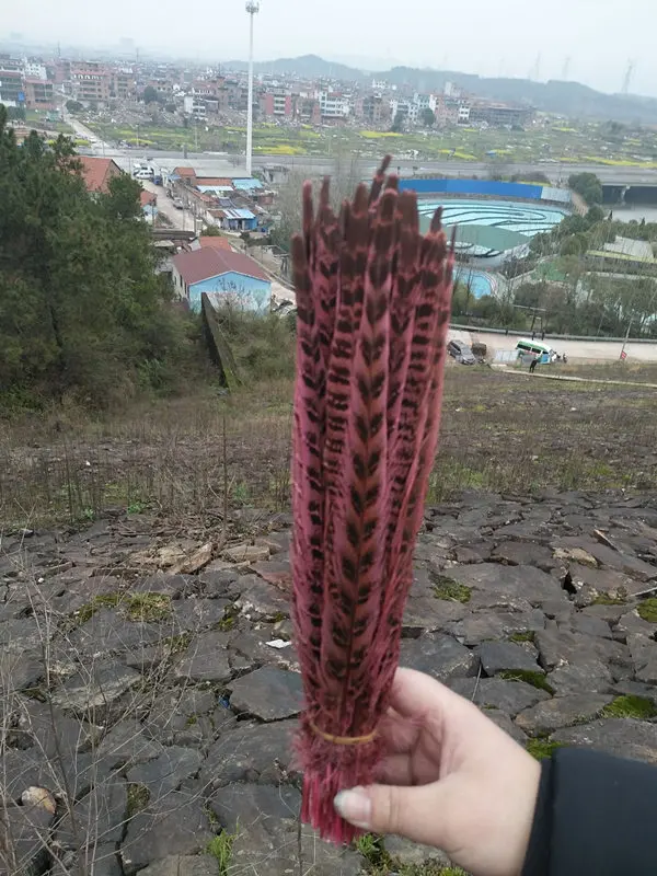 3AD2B1CB4516DCC3A98305123EC73A7C -