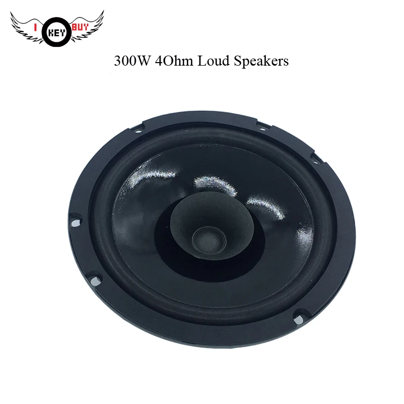 6.5 inch car speaker (3)