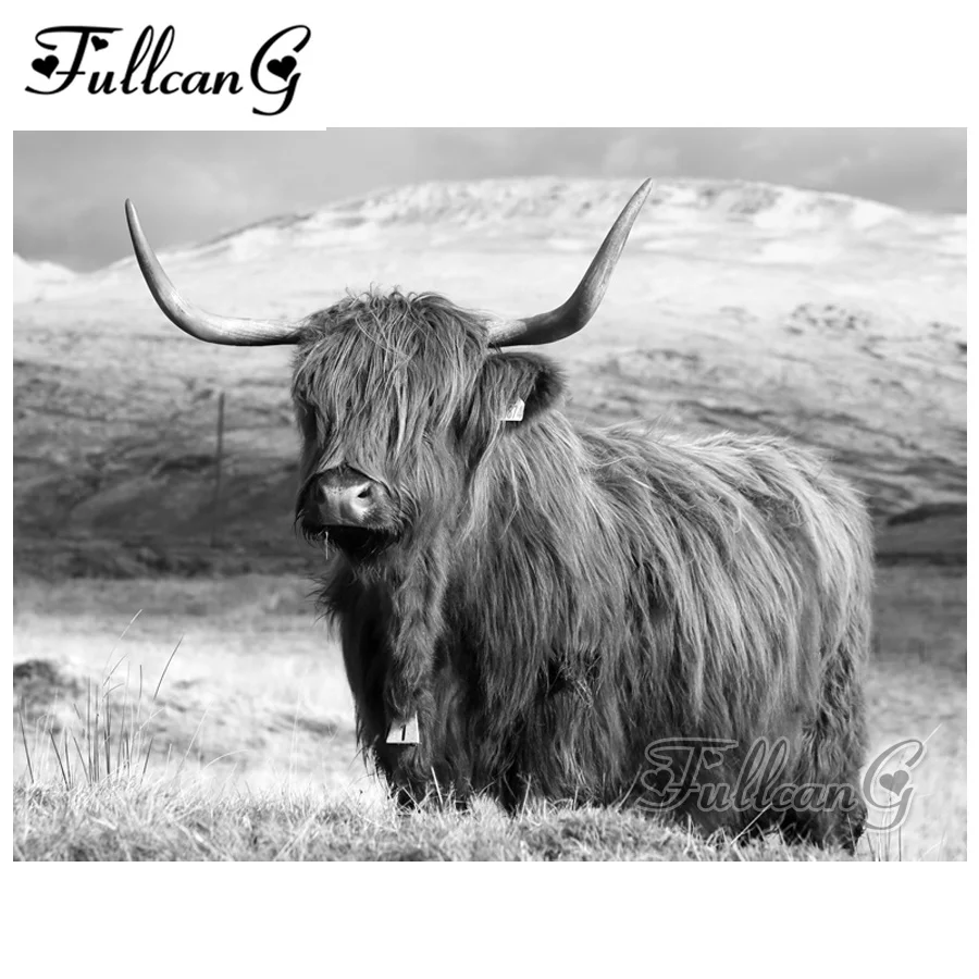 FULLCANG full square/round drill 5d diy diamond painting "highland cow" embroidery rhinestone cross stitch kit decor arts FC034
FULLCANG full square/round drill 5d diy diamond painting "highland cow" embroidery rhinestone cross stitch kit decor arts FC034