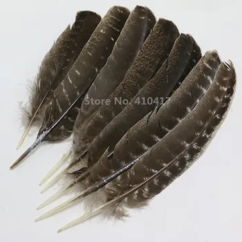 50pcs Wild Turkey Rounds Wing Quill Feathers 25-30cm Natural Wild Turkey Feathers
50pcs Wild Turkey Rounds Wing Quill Feathers 25-30cm Natural Wild Turkey Feathers