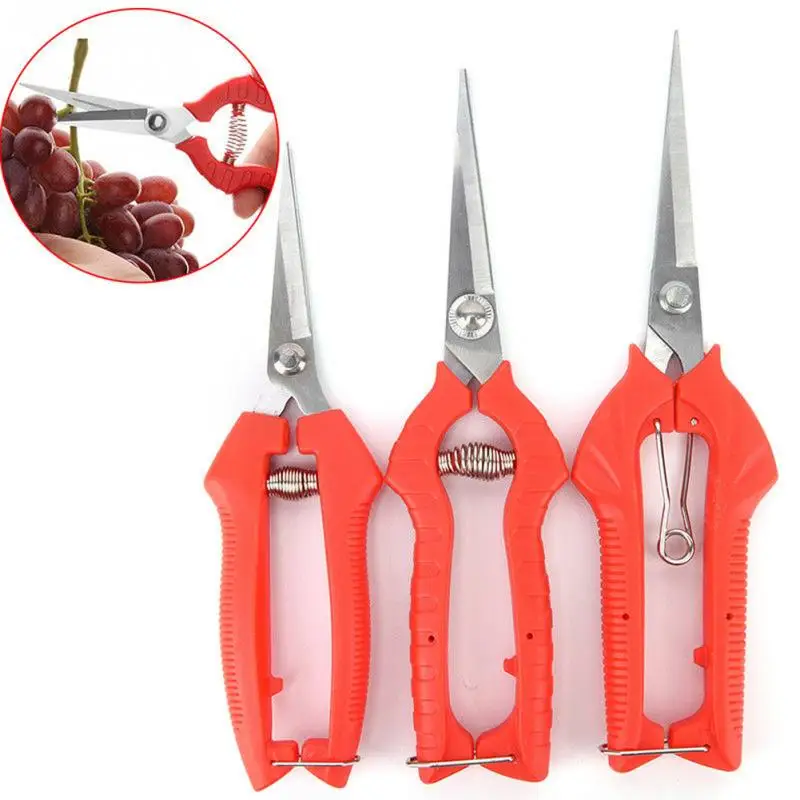 Ranch Cutter Garden Plant Trim DIY Tool Flower Hand Pruner Pruning Scissor Garden Tools Cutting Shears Bypass Pruner
Ranch Cutter Garden Plant Trim DIY Tool Flower Hand Pruner Pruning Scissor Garden Tools Cutting Shears Bypass Pruner