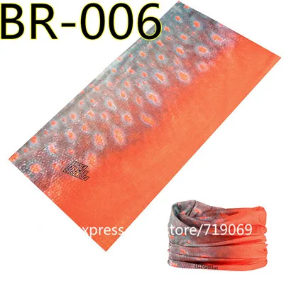 BR-006-5213
