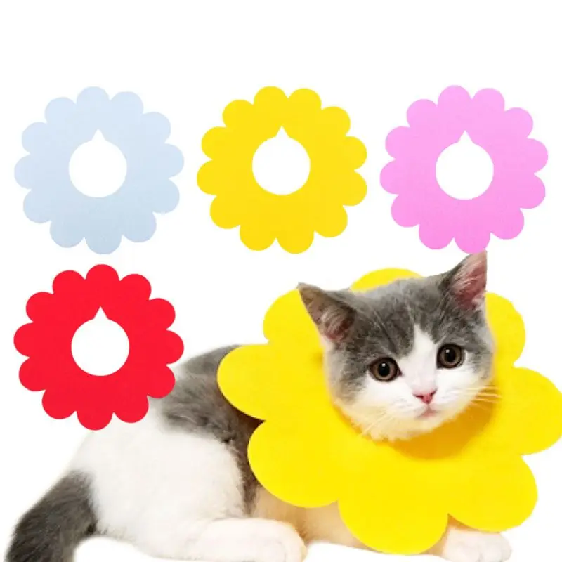 5Pcs Pet Elizabethan Collar Cat Recovery Collar Wound Healing Protective Cone Photo Prop for Puppy Cat Kitten
5Pcs Pet Elizabethan Collar Cat Recovery Collar Wound Healing Protective Cone Photo Prop for Puppy Cat Kitten