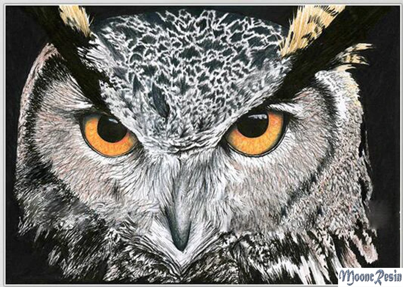 5D Animals Diamond Painting Cross Stitch Eagle Eyes Diy Diamond Mosaic Full Square Drill Diamond Embroidery Decoration Kit Gifts
5D Animals Diamond Painting Cross Stitch Eagle Eyes Diy Diamond Mosaic Full Square Drill Diamond Embroidery Decoration Kit Gifts