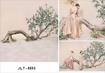 3x5ft Retro Chinese style vinyl Photography Background For Studio Photo Props Photographic Backdrops 90cm X 150cm
3x5ft Retro Chinese style vinyl Photography Background For Studio Photo Props Photographic Backdrops 90cm X 150cm