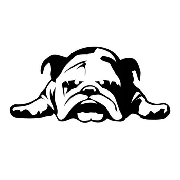 Wholesale 5pcs,10pcs,11*23CM ENGLISH BULLDOG TIRED PUPPY DOG Fun Black British Tired Little Dog Car Stickers
Wholesale 5pcs,10pcs,11*23CM ENGLISH BULLDOG TIRED PUPPY DOG Fun Black British Tired Little Dog Car Stickers