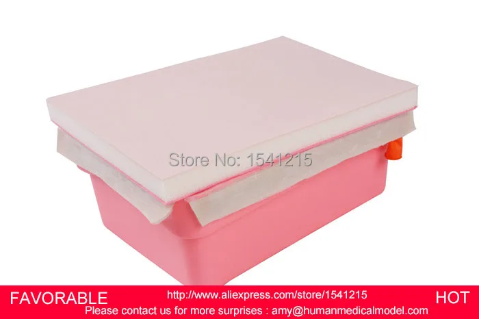 MEDICAL SIMULATOR TRAINING MEDICAL TRAINING MANIKINS TRAINING MODEL FOR OPEN AND CLOSE OF ABDOMINAL CAVITY-GASEN-CSM0055
MEDICAL SIMULATOR TRAINING MEDICAL TRAINING MANIKINS TRAINING MODEL FOR OPEN AND CLOSE OF ABDOMINAL CAVITY-GASEN-CSM0055