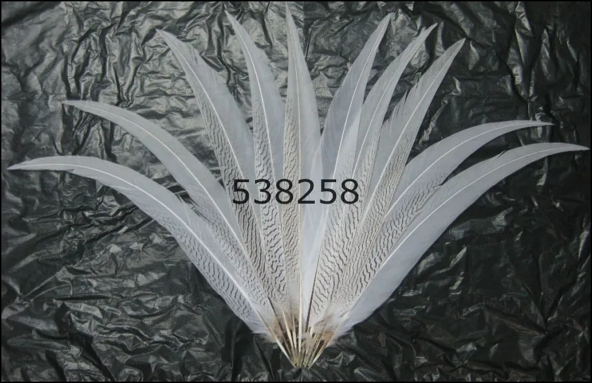 silver pheasant feathers 45-50cm natural pure white color for craft dancer decoration plumages
silver pheasant feathers 45-50cm natural pure white color for craft dancer decoration plumages