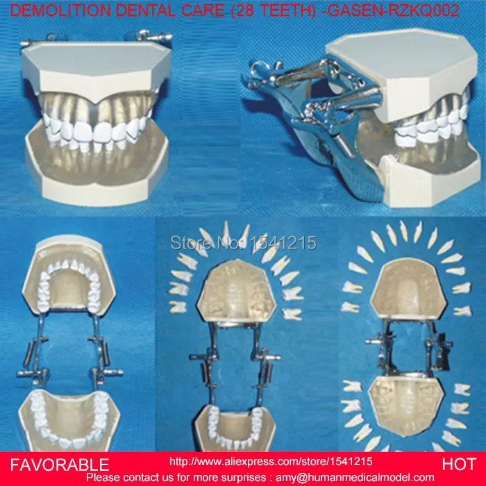 DENTAL MODEL TOOTH MODEL,ORAL CAVITY,NATURAL SIZE ORAL DENTAL TEACHING MODEL DETACHABLE DENTAL CARE (28 TEETH) -GASEN-RZKQ002
DENTAL MODEL TOOTH MODEL,ORAL CAVITY,NATURAL SIZE ORAL DENTAL TEACHING MODEL DETACHABLE DENTAL CARE (28 TEETH) -GASEN-RZKQ002