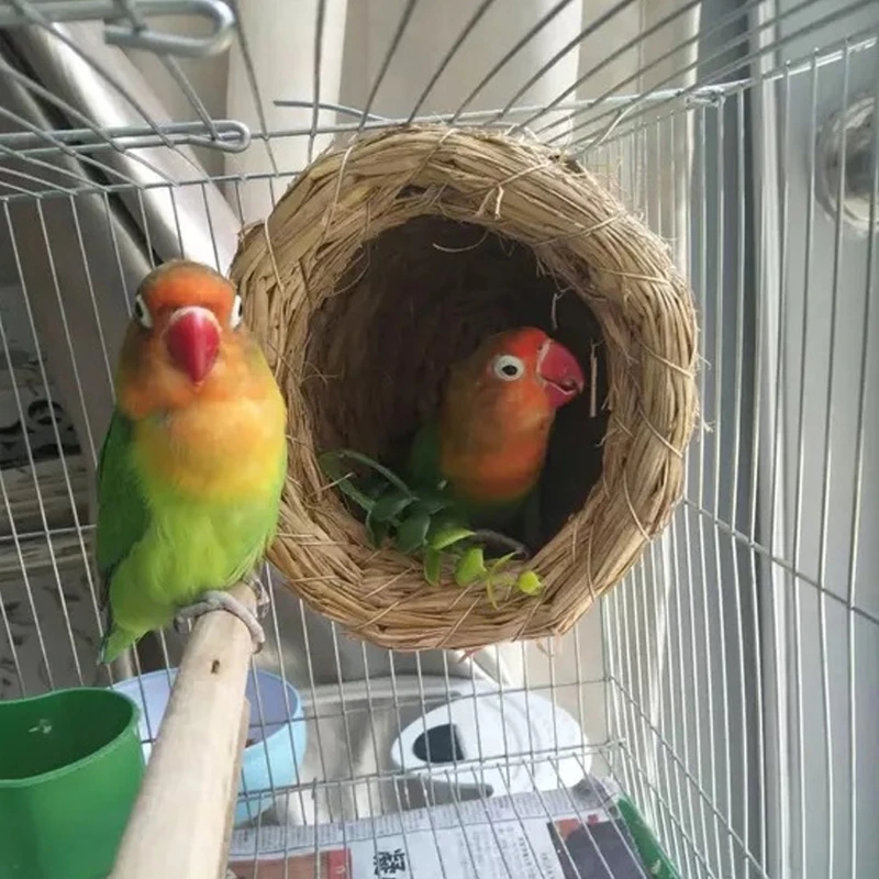 Handmade Bird Nest Straw Pet Pigeon Nest Farm Animals Bird House Parrot Nest Cages Rat Hamster Bird Breeding Nest Winter Warmer
Handmade Bird Nest Straw Pet Pigeon Nest Farm Animals Bird House Parrot Nest Cages Rat Hamster Bird Breeding Nest Winter Warmer
