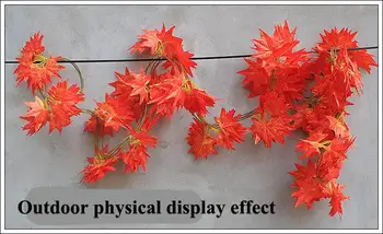 2.3m The simulation of grape Hato Kurekaedehatojo 18 group Xiangshan red flowers decorative flower vine leaves off pipe winding
2.3m The simulation of grape Hato Kurekaedehatojo 18 group Xiangshan red flowers decorative flower vine leaves off pipe winding