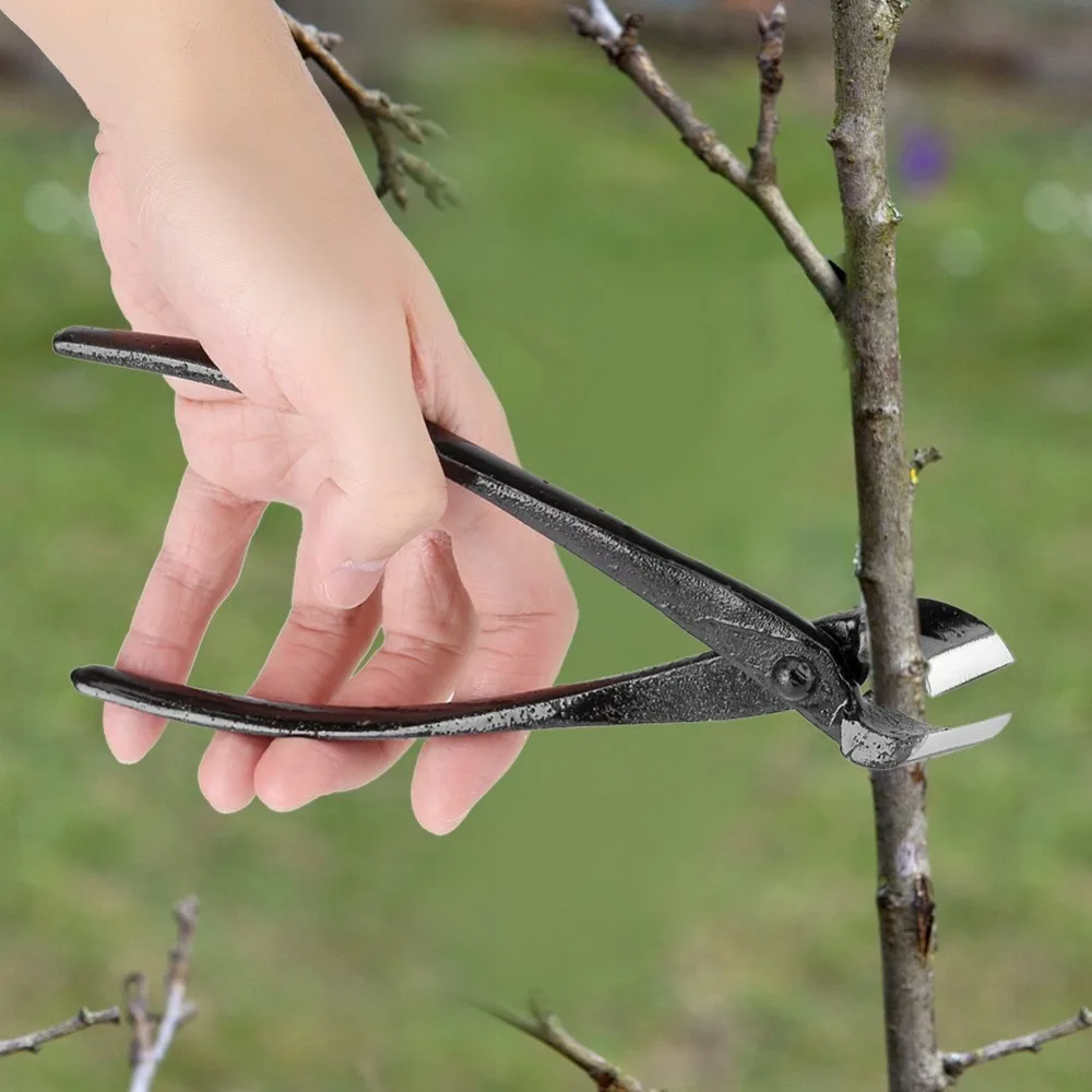 tijeras de podar 205mm Professional Garden Branch Cutter Beginner Bonsai Tools Zinc Alloy Round Edge Bonsai Cutters Garden Tools
tijeras de podar 205mm Professional Garden Branch Cutter Beginner Bonsai Tools Zinc Alloy Round Edge Bonsai Cutters Garden Tools