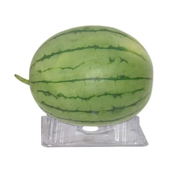 24 Pcs Watermelon Pumpkin Fruit holder Plastic Melon Support Plant Garden Cradle Prevent from Rot
24 Pcs Watermelon Pumpkin Fruit holder Plastic Melon Support Plant Garden Cradle Prevent from Rot