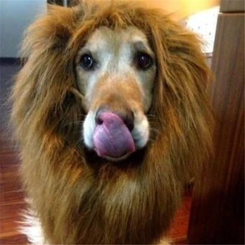 Pet Wigs Costume Dog Lion Mane Hair Festival Party Fancy Dress Halloween Costume Pet Lion Hair Pet Hair Accessories
Pet Wigs Costume Dog Lion Mane Hair Festival Party Fancy Dress Halloween Costume Pet Lion Hair Pet Hair Accessories