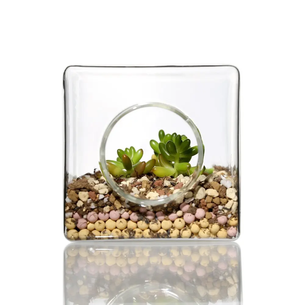 DIY Mini Landscape Glass Bottle Terrarium Container Flower Vase Square Shape
