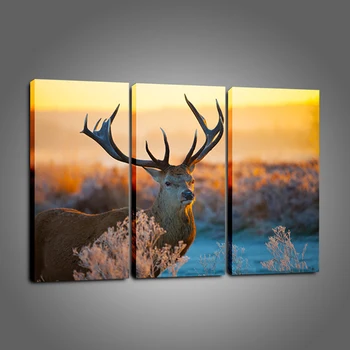 Dropshipping Oil Painting Wall Art Canvas Prints Beach Landscape Boat Modern Wall Pictures For Living Room Home Decoration 3pcs
Dropshipping Oil Painting Wall Art Canvas Prints Beach Landscape Boat Modern Wall Pictures For Living Room Home Decoration 3pcs