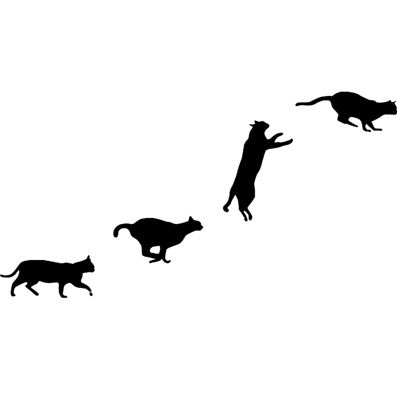 Naifumodo 1 Pcs/lot Metal Cutting Dies Scrapbooking for Card Making DIY Embossing Cuts New Craft Jumping Cat Animals Element
Naifumodo 1 Pcs/lot Metal Cutting Dies Scrapbooking for Card Making DIY Embossing Cuts New Craft Jumping Cat Animals Element