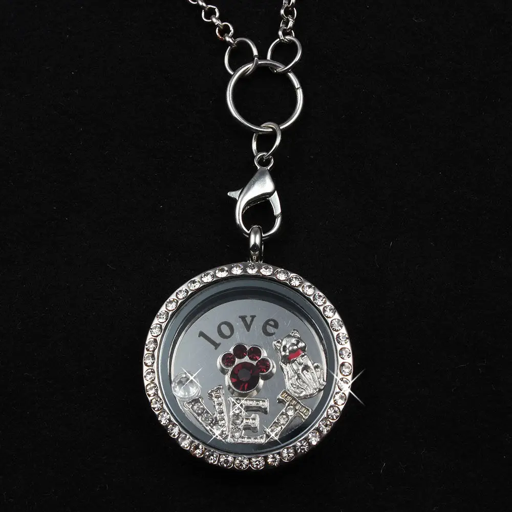VET Floating Charms Locket Necklace (80cm Chain All Show Crystals Floating Charms Plate ) DIY Jewelry Gift for Vets
VET Floating Charms Locket Necklace (80cm Chain All Show Crystals Floating Charms Plate ) DIY Jewelry Gift for Vets