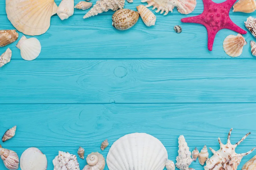Laeacco Summer Blue Board Conch Starfish Children Photography Backgrounds Customized Photographic Backdrops for Photo Studio
Laeacco Summer Blue Board Conch Starfish Children Photography Backgrounds Customized Photographic Backdrops for Photo Studio