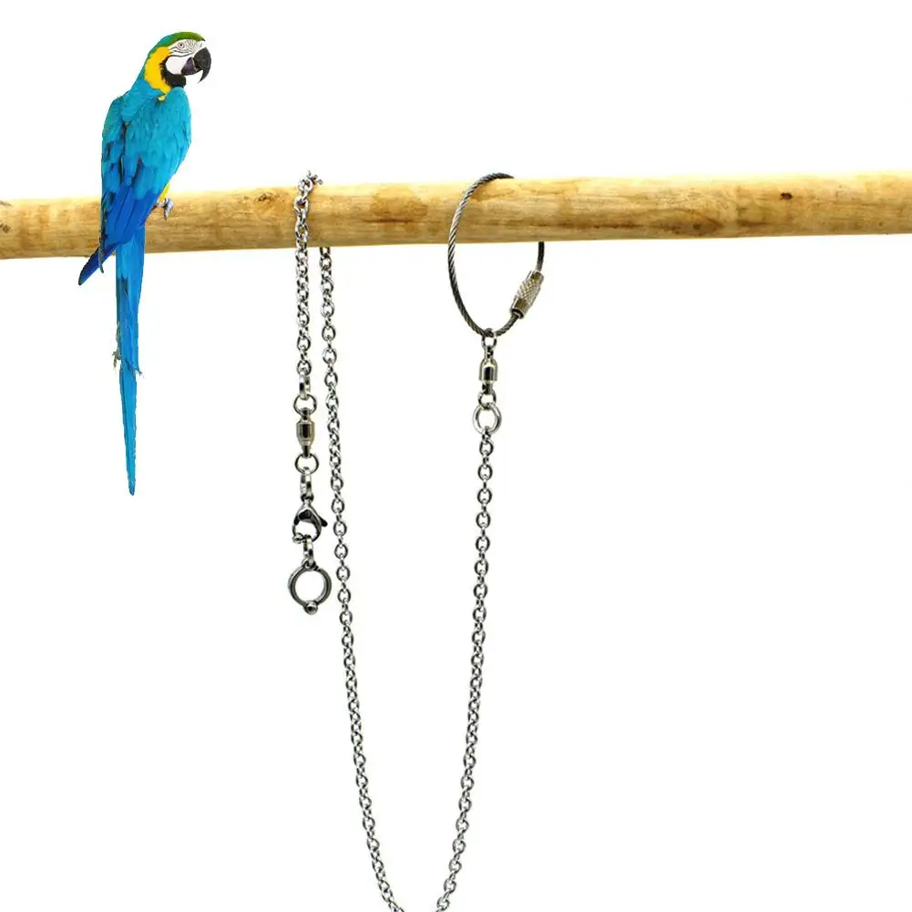 1Pc New Bird Parrot Foot Chain Stainless Steel Ankle Foot Ring Stand Outdoor Flying Training Bird Accessories
1Pc New Bird Parrot Foot Chain Stainless Steel Ankle Foot Ring Stand Outdoor Flying Training Bird Accessories