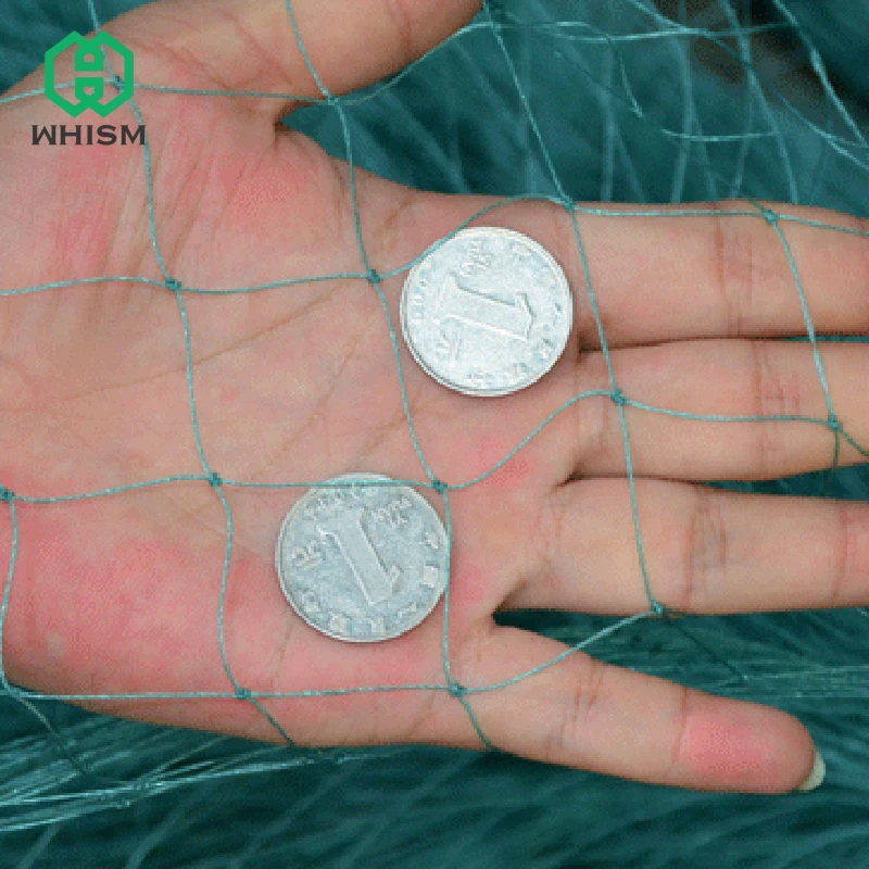 WHISM Bird Net Nylon Anti Netting Pond Crops Trap Garden Mesh Protect Gardening Fruit Tree Vegetable Protection Pest Control
WHISM Bird Net Nylon Anti Netting Pond Crops Trap Garden Mesh Protect Gardening Fruit Tree Vegetable Protection Pest Control