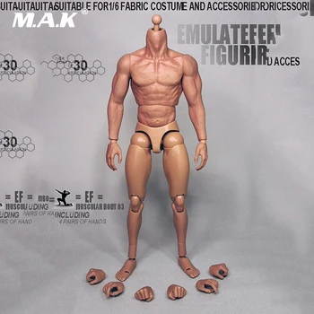 1/6 Scale Action Figure 3.0 Muscular Wolverine Logan Male Body With Seamless Arms Model Toys
1/6 Scale Action Figure 3.0 Muscular Wolverine Logan Male Body With Seamless Arms Model Toys