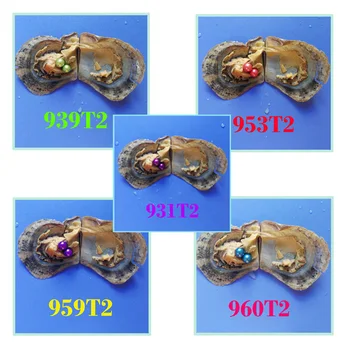 free shipping 10 pcs pearl oysters (each shell with 6-8mm same colored TWINS pearls) with vacuum-packed for party
free shipping 10 pcs pearl oysters (each shell with 6-8mm same colored TWINS pearls) with vacuum-packed for party