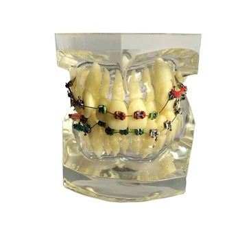 1 Piece Transparent Dental Tooth Orthodontic Model Malocclusion Models Teaching Model Dentistry Material Dentist Tools
1 Piece Transparent Dental Tooth Orthodontic Model Malocclusion Models Teaching Model Dentistry Material Dentist Tools